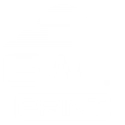 Elite Web Technology